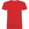 Bild von Männer T-Shirt-BEAGLE 6554