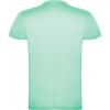 Bild von Männer T-Shirt-BEAGLE 6554
