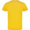 Bild von MÄNNER T-SHIRT- BRACO 6550