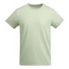 Bild von MÄNNER T-SHIRT - BREDA 6698