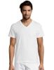 Bild von Short Sleeve Tee Shirt Master