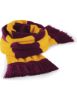 Bild von Stadium Scarf